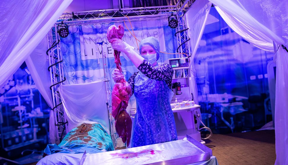 Anatomy Lab Live 2020