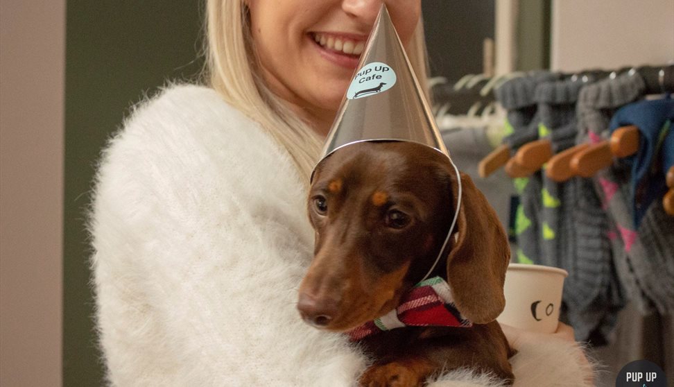 Pup Up Cafe - Dachshund Edition