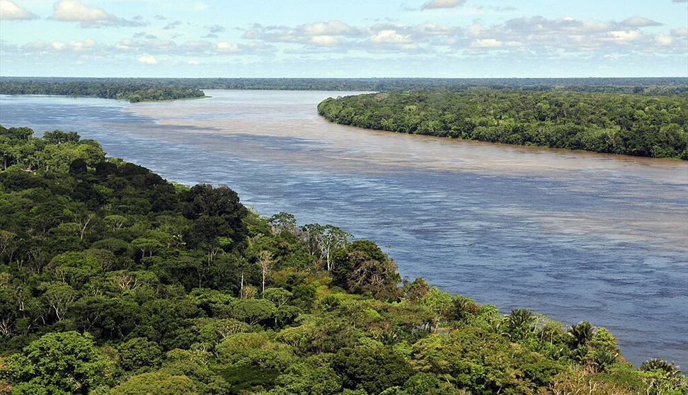 The survival of the Amazon rainforest is under threat