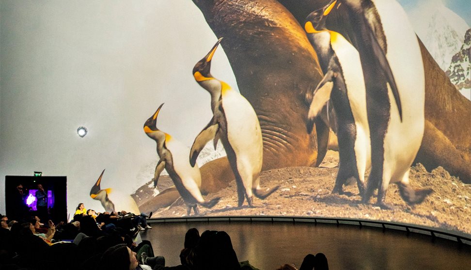 Immersive Dome Experience -  BBC Antarctica