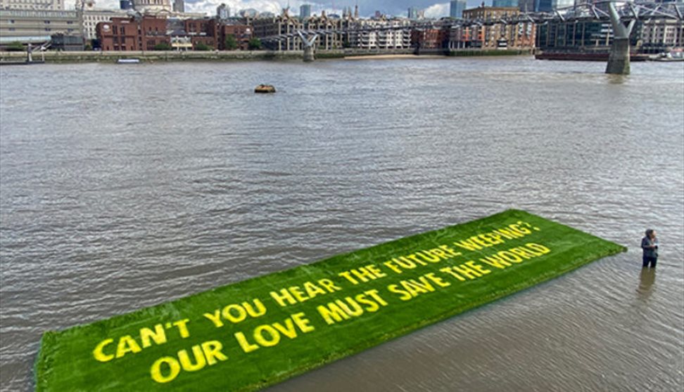 Ackroyd & Harvey: The Art of Activism ()