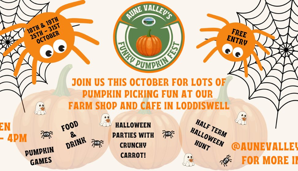 A poster with spiders, pumpkins and cobwebs.