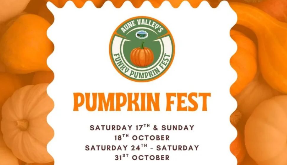 A poster with spiders, pumpkins and cobwebs.