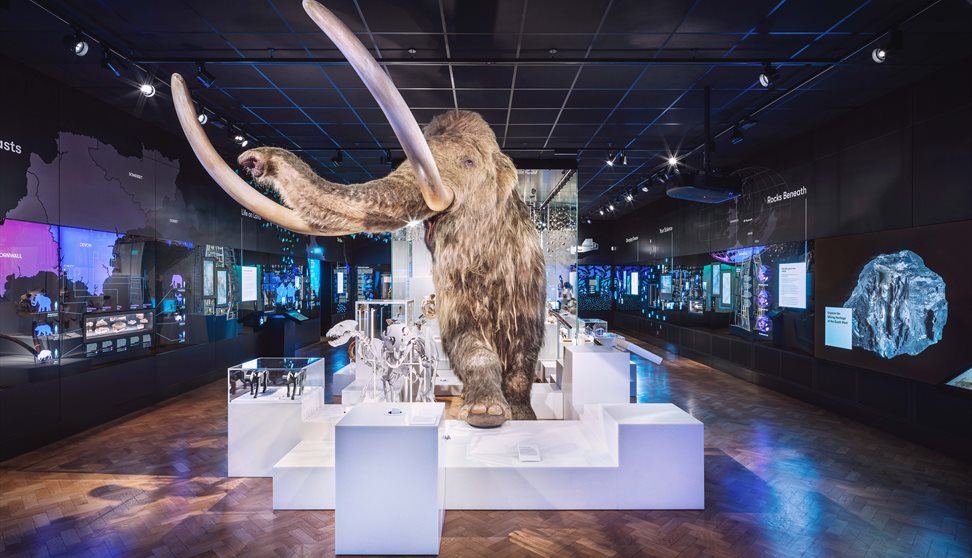 Woolly Mammoth display