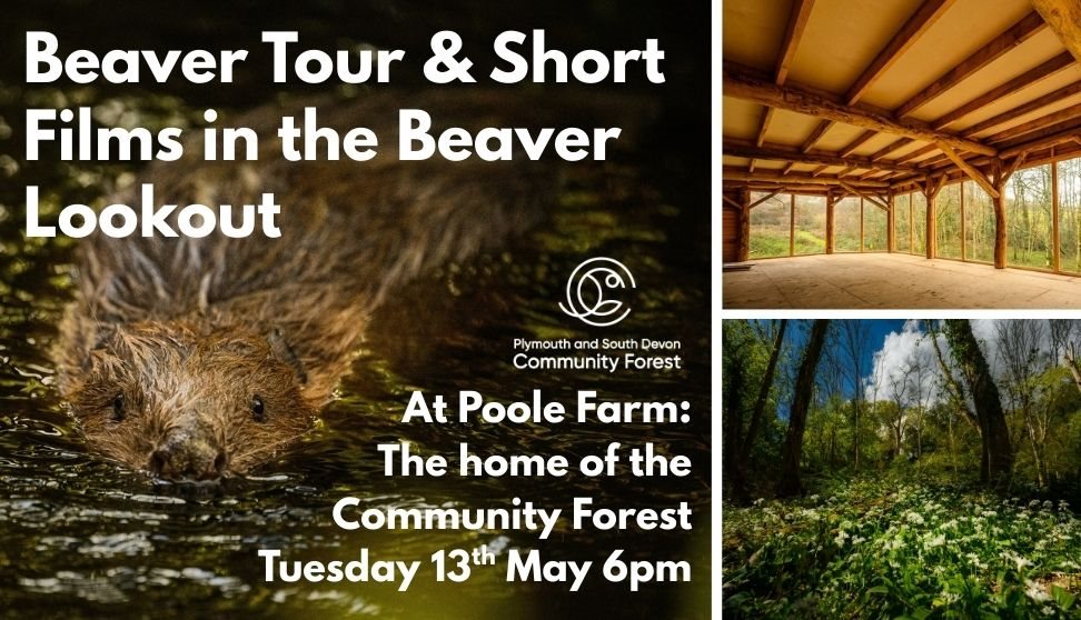 Beaver Tour & Short Films