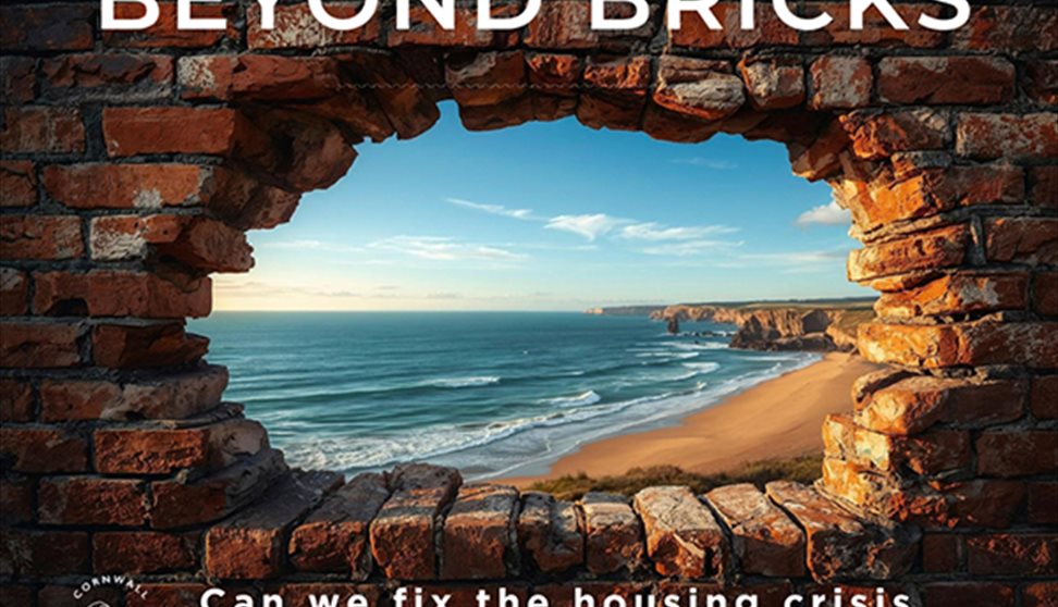 Beyond Bricks + Panel Q&A