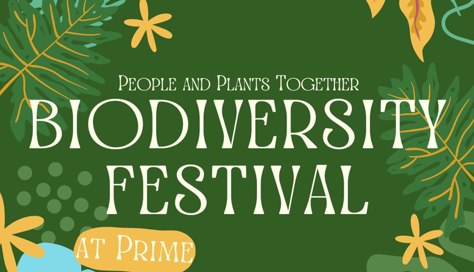 Biodiversity Festival