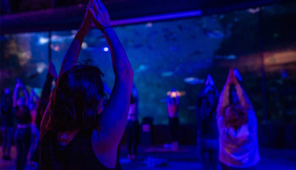 Body Balance at The Aquarium: with Nuffield Health