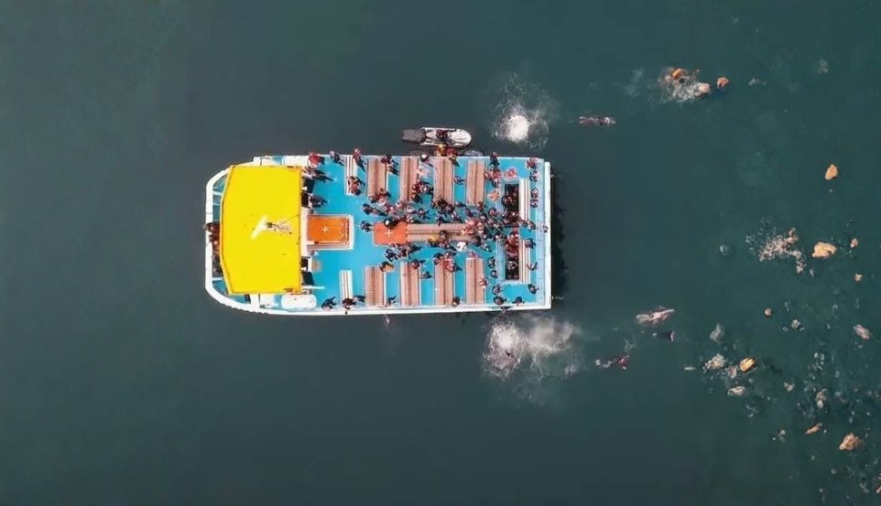 Plymouth Breakwater Swim