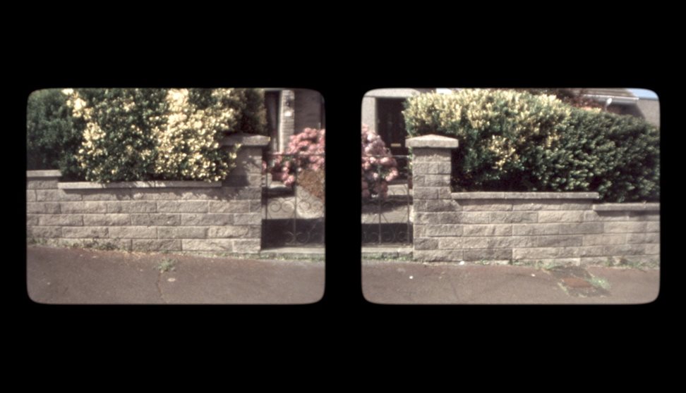 An image of a suburban garden gate