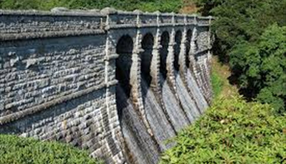 Talk: Water From The Moor: Plymouth's Water Supply