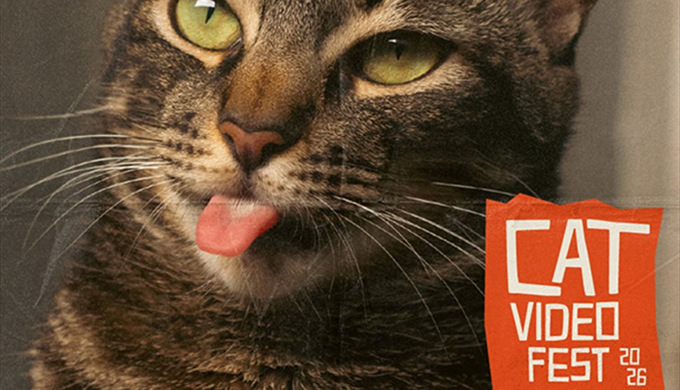 CatVideoFest (U)