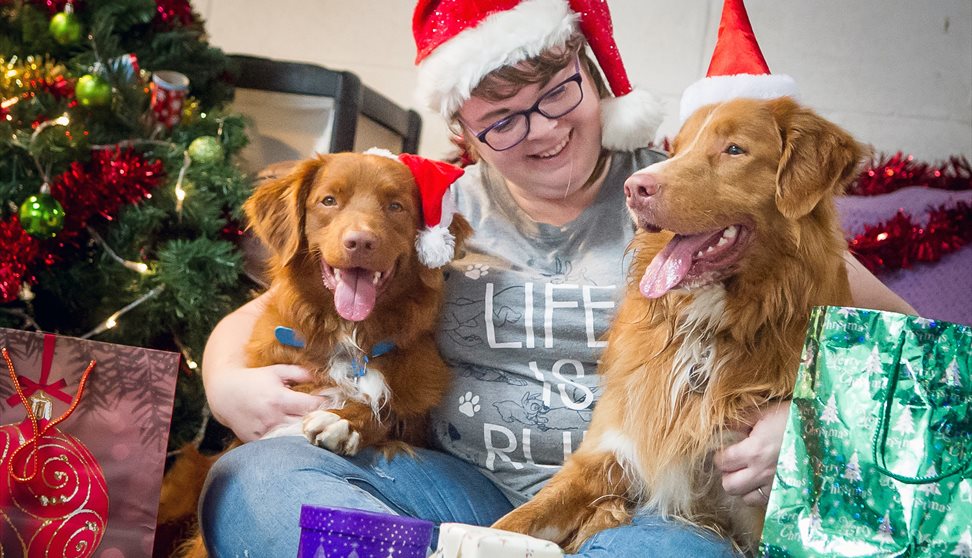 Doggy Christmas Festival