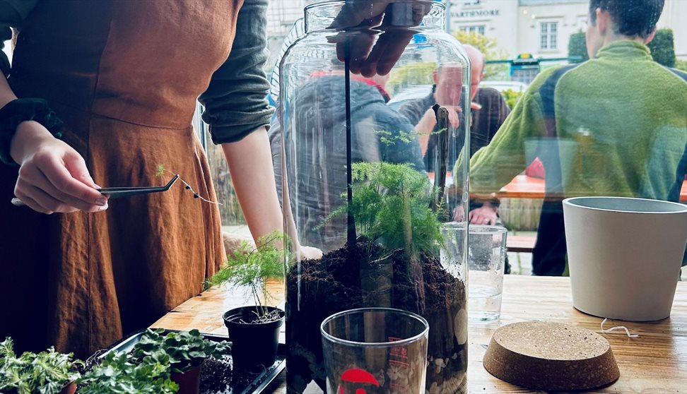 Couples Terrarium Workshop