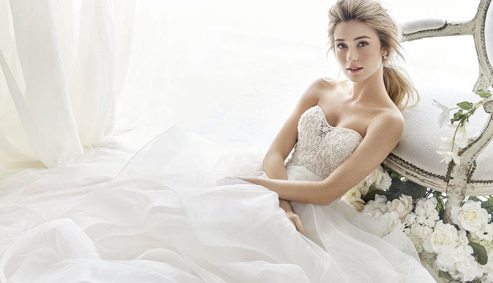 Dream Wedding Extravaganza