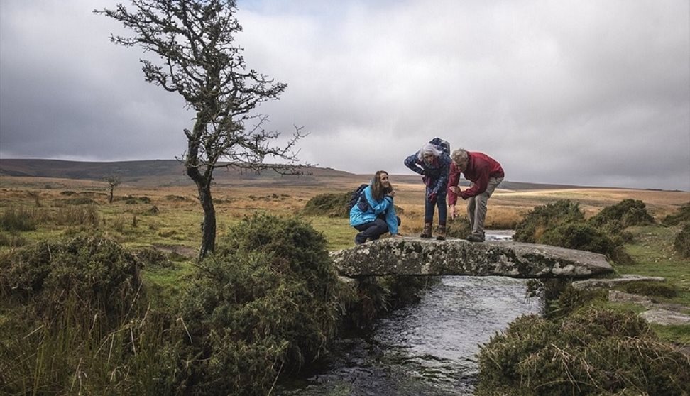 Ceremonial site walk at Drizzlecombe, Dartmoor's Daughter