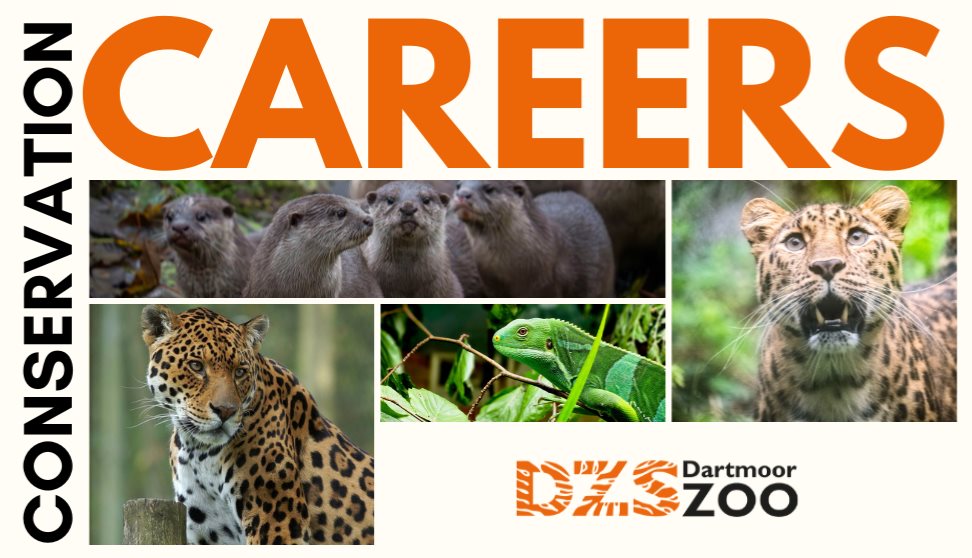 Conservation Careers