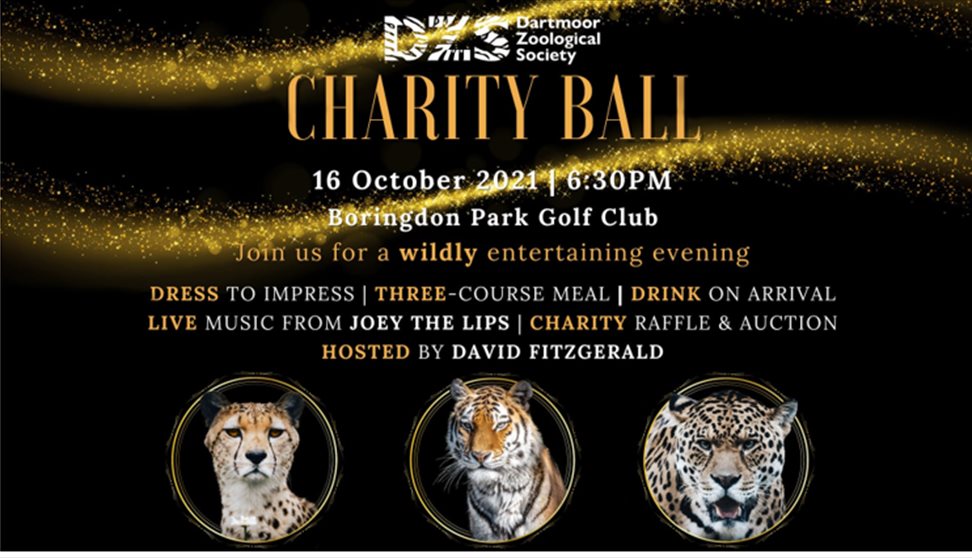 Dartmoor Zoo Charity Ball Charity, Plymouth Visit Plymouth