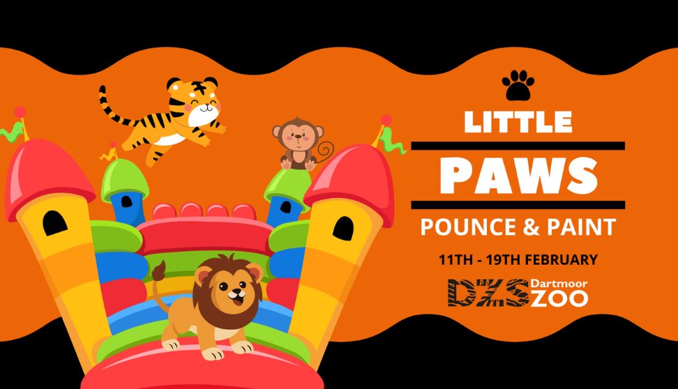 Half-term family fun at Dartmoor Zoo