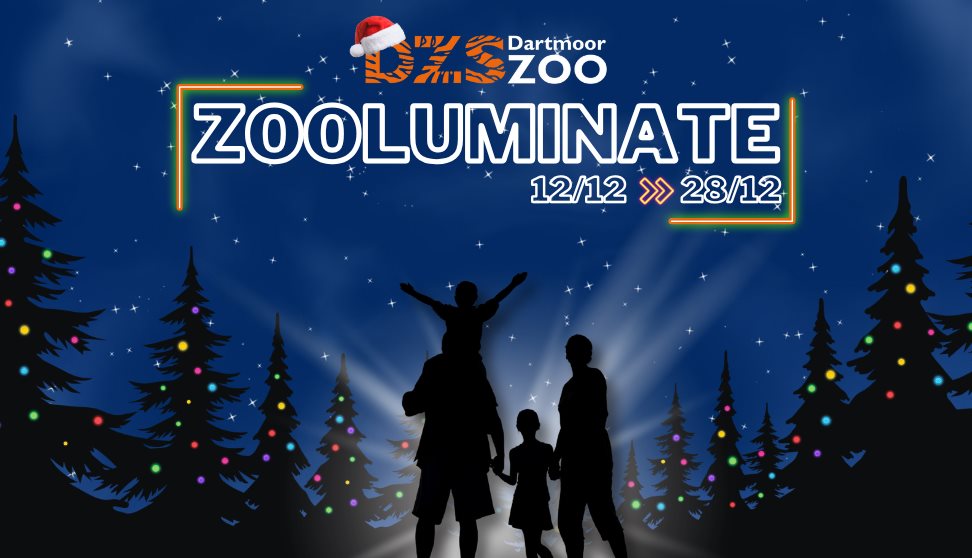 Zooluminate
