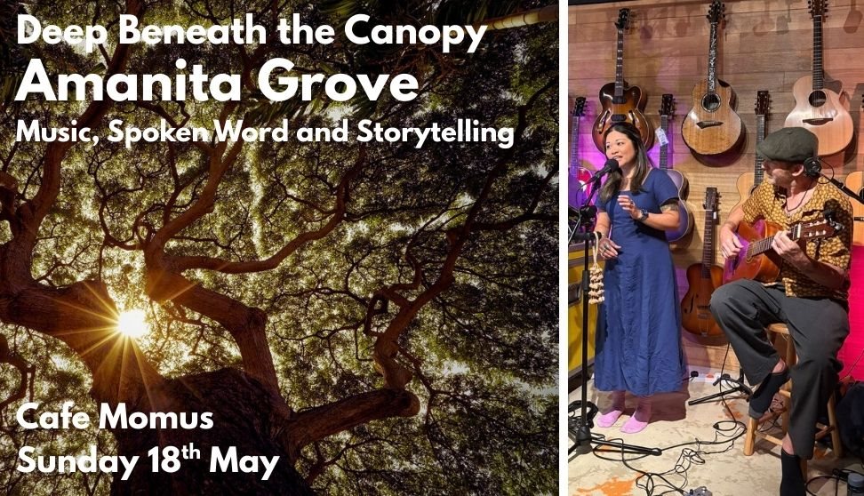 Deep Beneath the Canopy - Amanita Grove