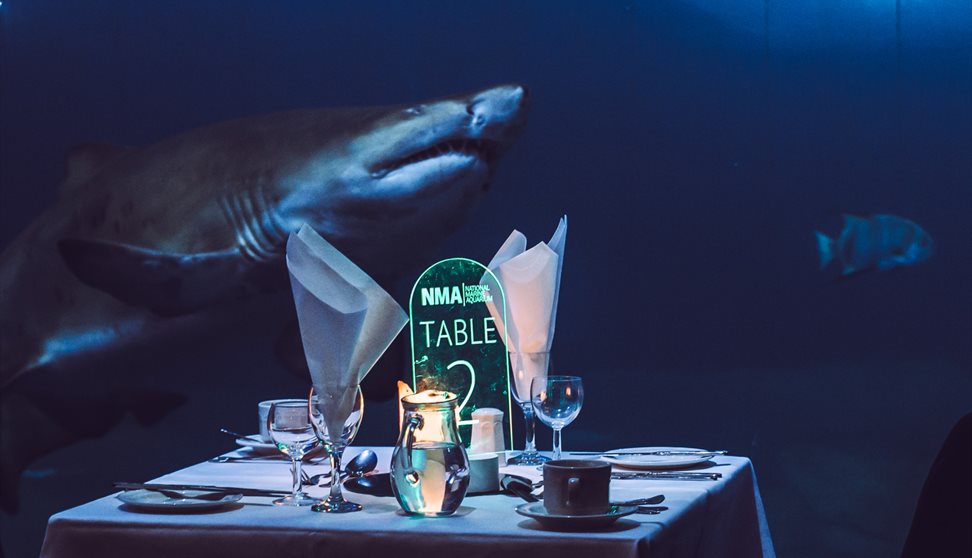 Tables set for a romantic dinner for two with sharks swimming in the large tank in the background.