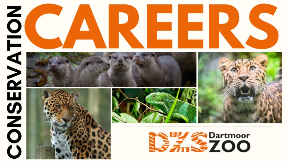 Dartmoor Zoo Conservation Careers