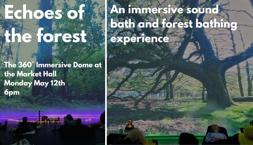 Echoes of the Forest - A Soundbath & Forest bathing Immersive Experience