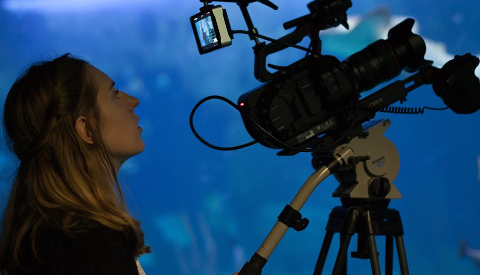 Film: Weekender: Making the Grade: Women Directing Documentary, Past and Present