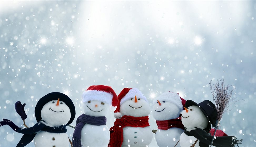 Family Festive Celebration