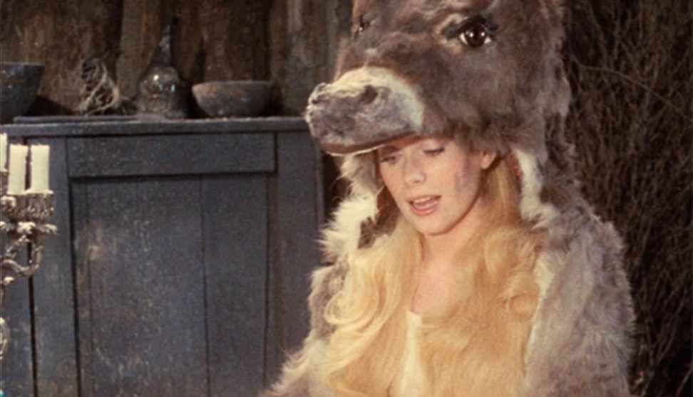 Fashion in Film: Donkey Skin (PG)
