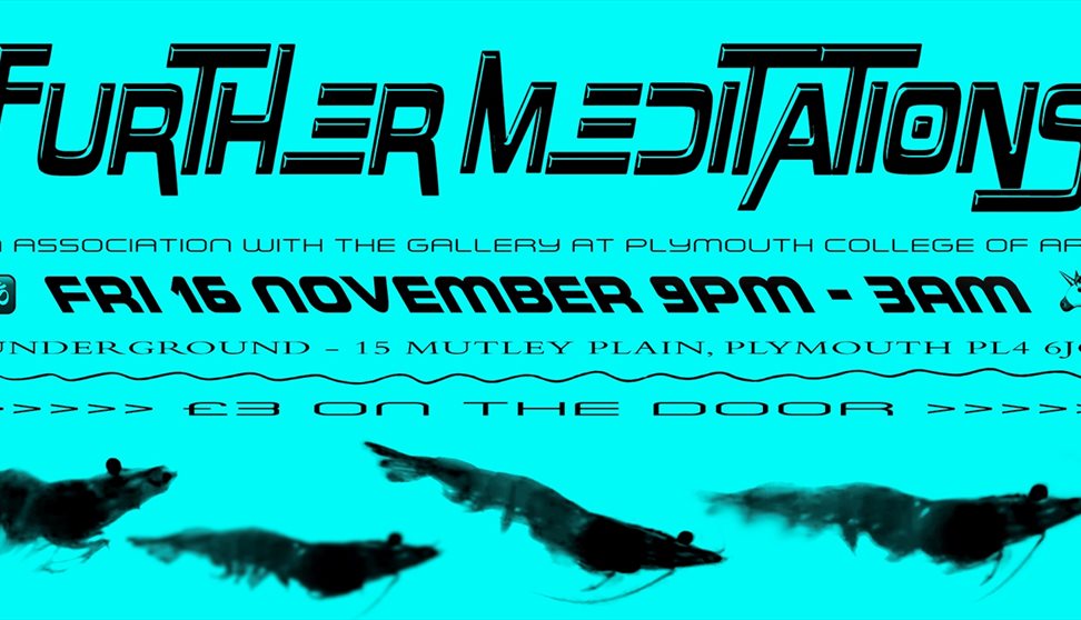 Further Meditations - Gig