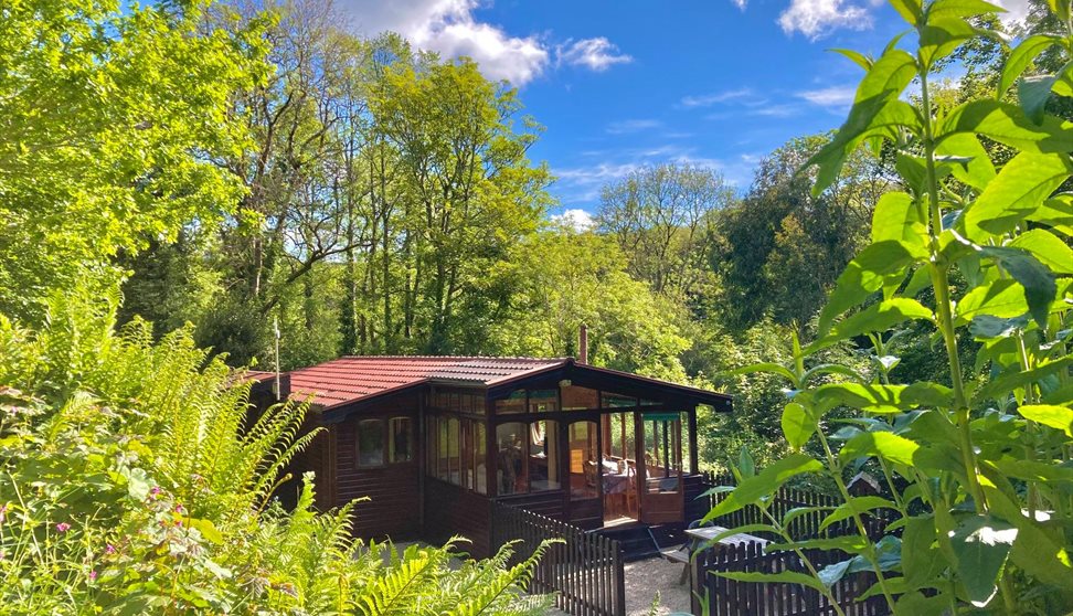 Wooden chalet surrounded by trees