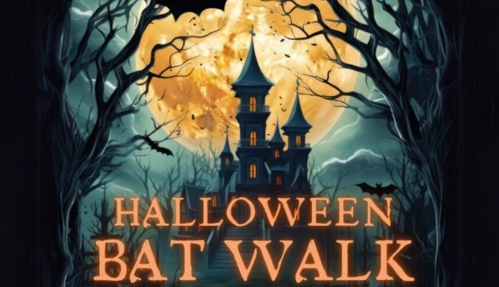 Halloween Bat Walk & Pumpkin Lantern Trail