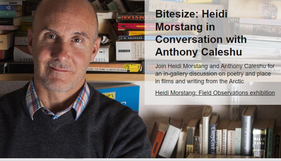 Bitesize: Heidi Morstang in Conversation with Anthony Caleshu