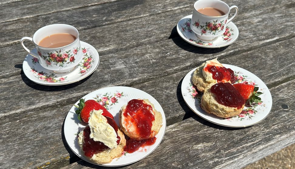 Cream tea tour at Bridging the Tamar