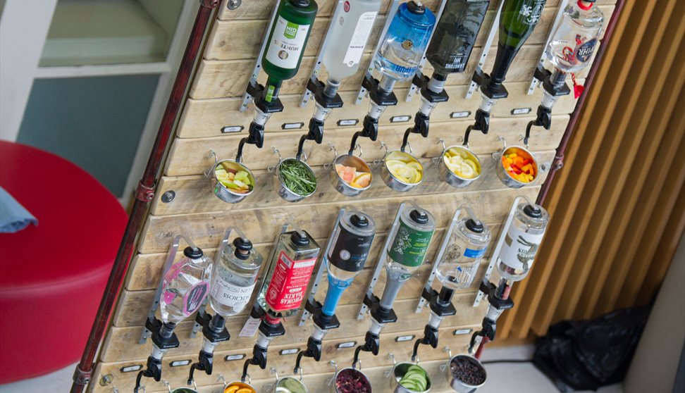 Gin Festival Plymouth 2018
