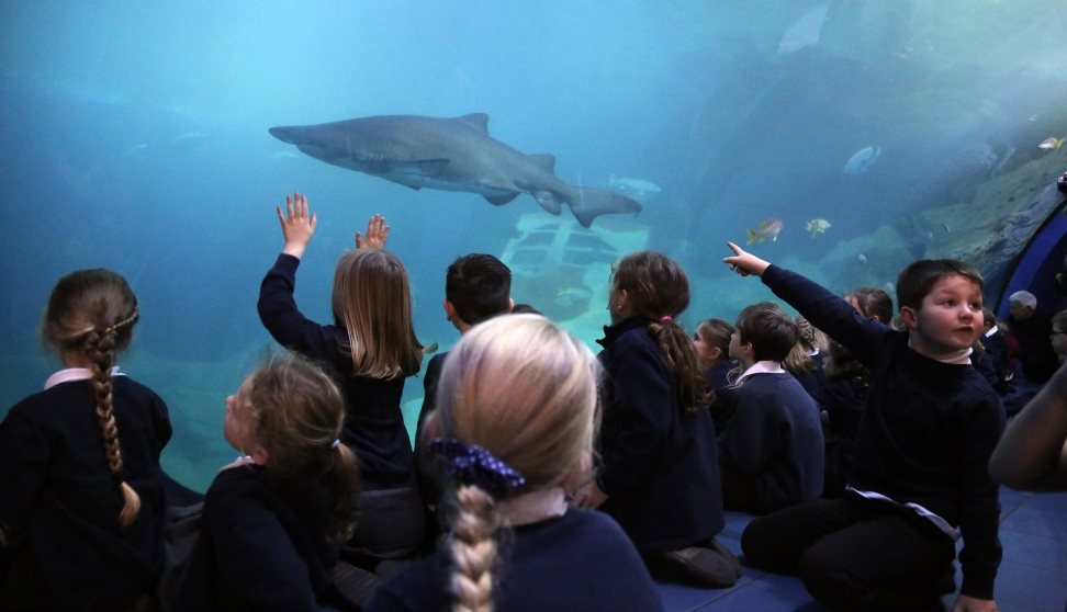 Talks and demonstrations at the National Marine Aquarium Plymouth