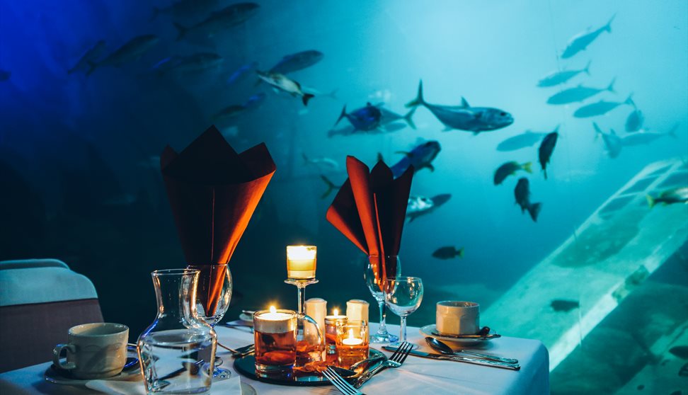 Dine at the Aquarium