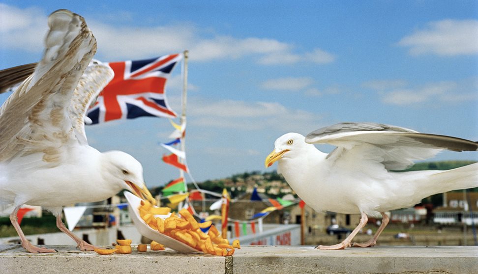 I Am Martin Parr