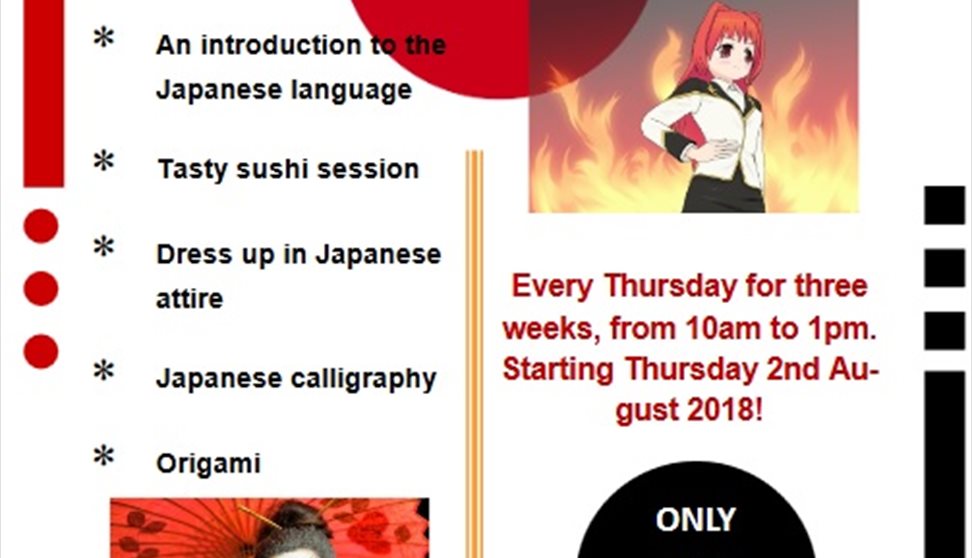 The Japanese Experience