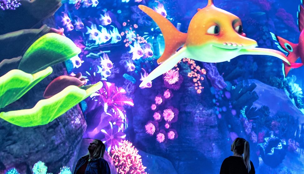 Immersive Dome Experience - Legend of the Enchanted Reef