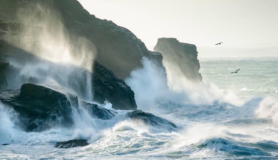 Lost to the Sea by Lisa Wollett