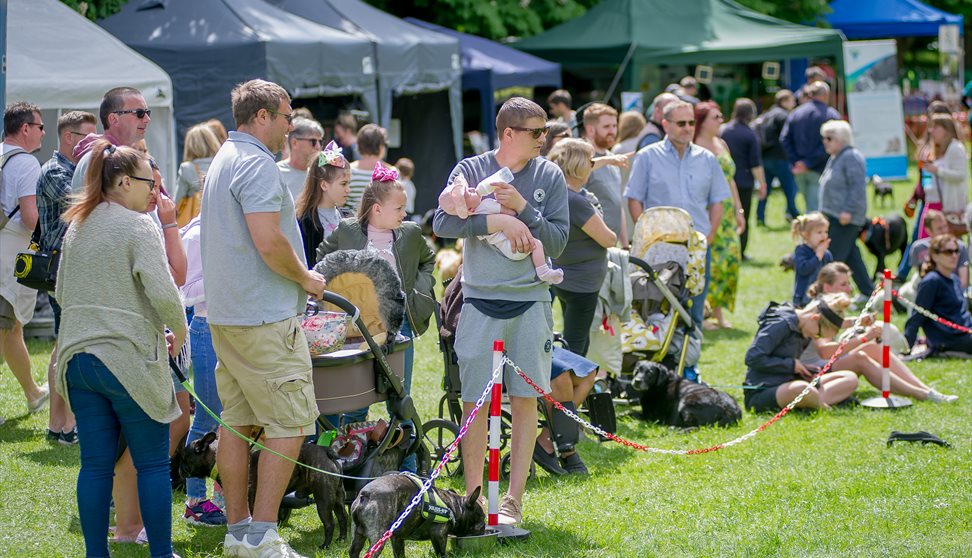 The Big Doggy Day Out Festival