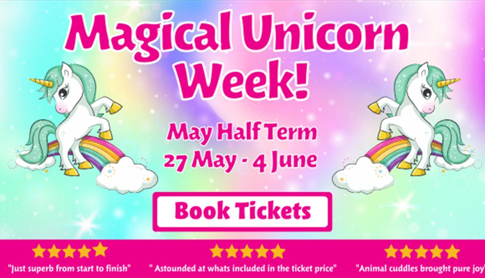 Magical Unicorn Week