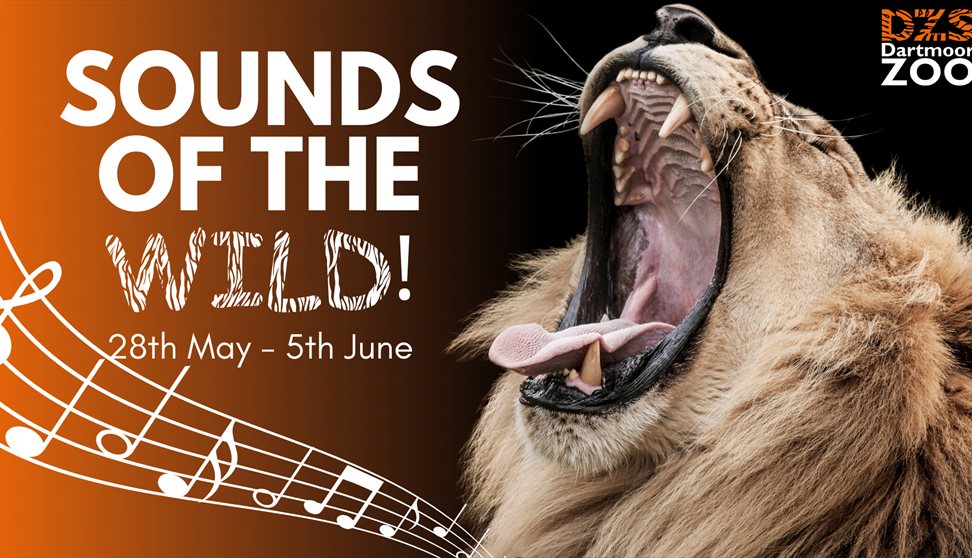 Sounds of the Wild