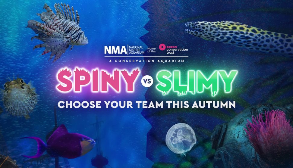 Fish in the tank, with the words slime vs spine on it