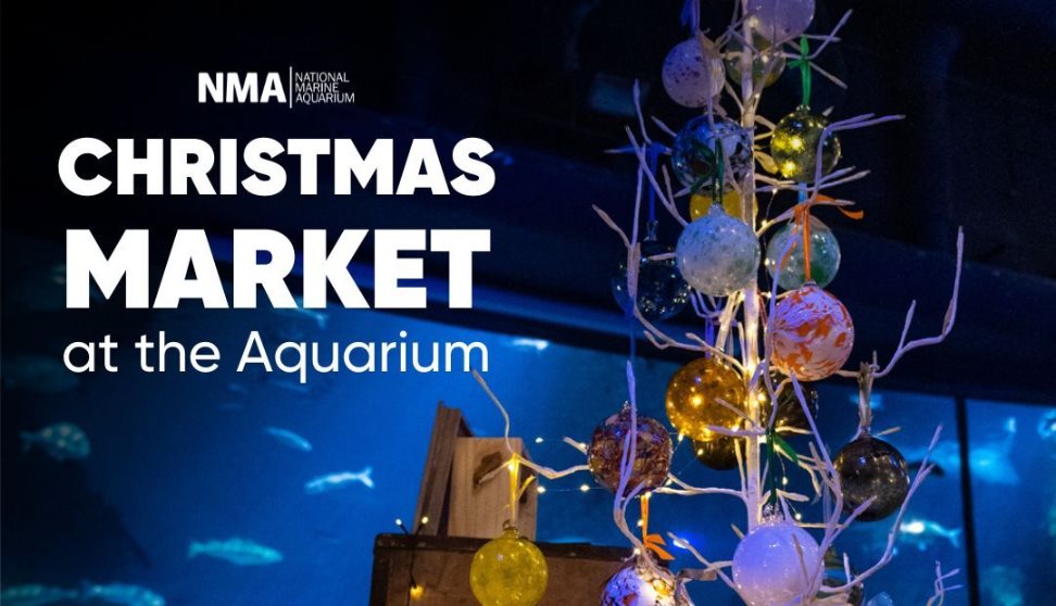 Christmas Market at The Aquarium