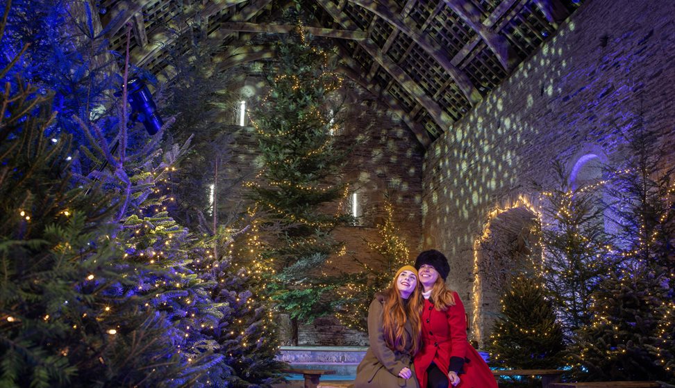 Two visitors sat on a bench in the Great Barn surrounded by Christmas trees covered in lights, a giant tree can be seen behind them.