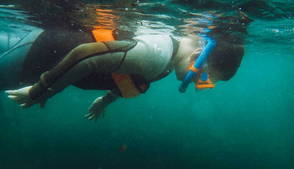Snorkel Safaris